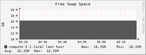 compute-3-1.local swap_free